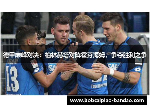 德甲巅峰对决：柏林赫塔对阵霍芬海姆，争夺胜利之争