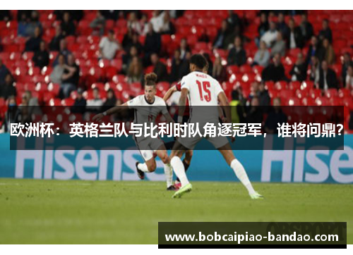 欧洲杯：英格兰队与比利时队角逐冠军，谁将问鼎？