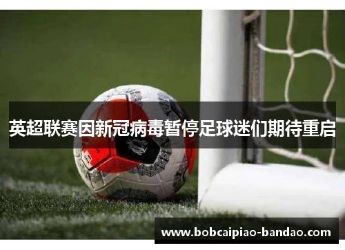 英超联赛因新冠病毒暂停足球迷们期待重启